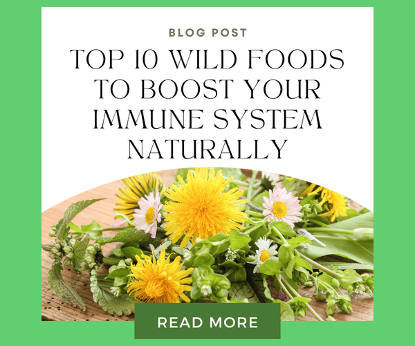 Top 10 Wild Foods to Boost Your Immune System Naturally