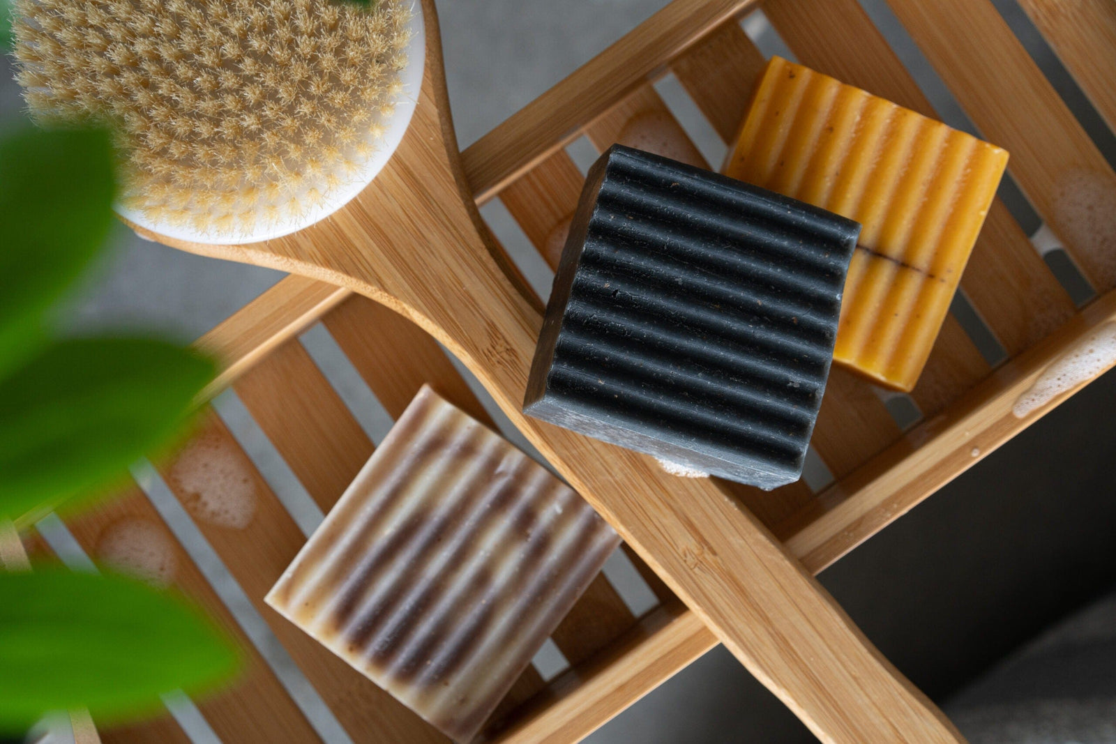 Three soap bars on a wooden tray with a plant in the background