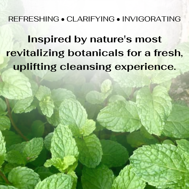 Probiotic Powered Hand Soap
